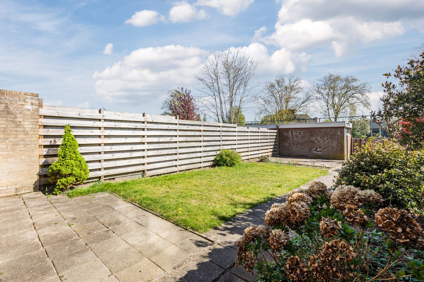 Foto 34 van Treubstraat 60