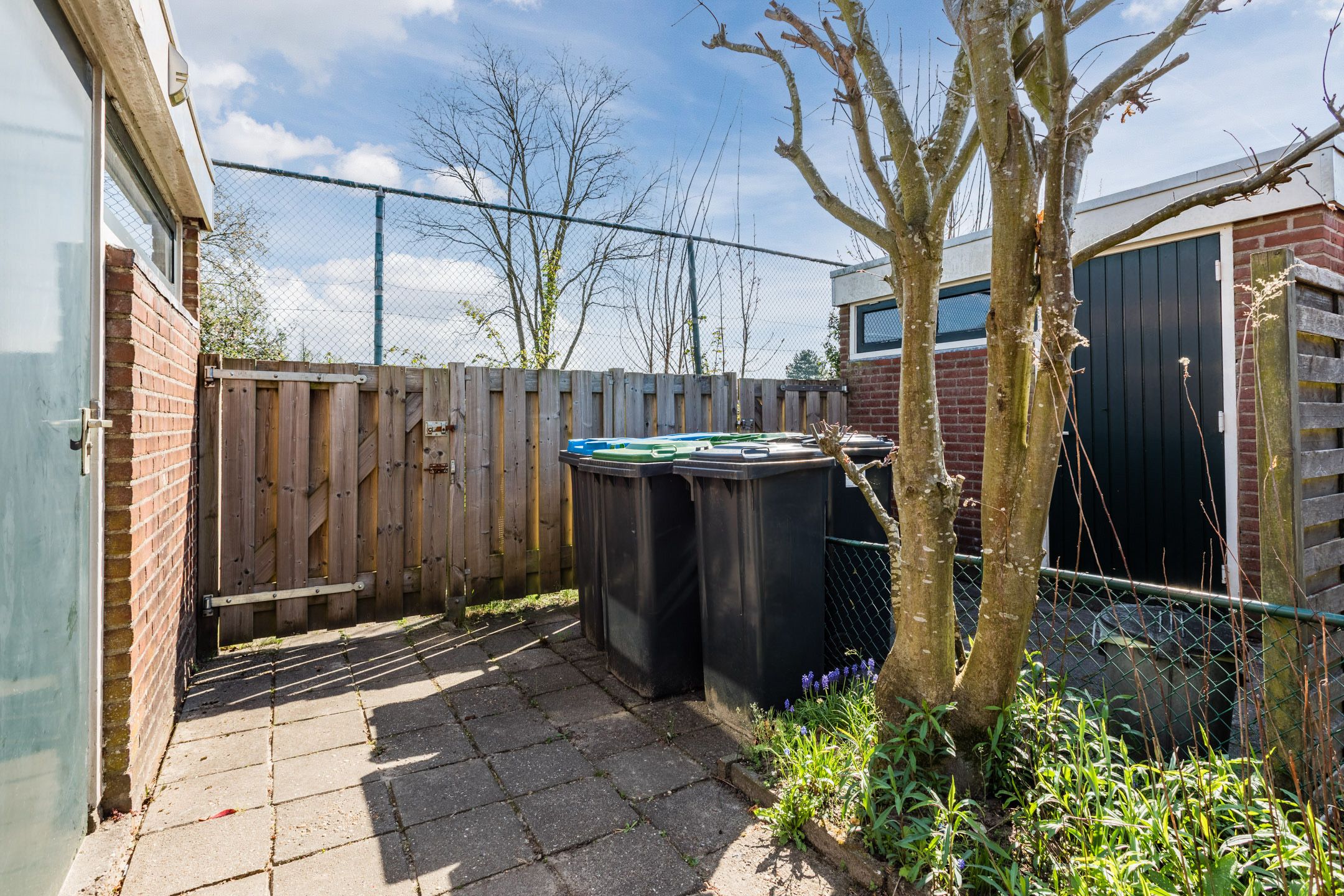 Foto 36 van Treubstraat 60