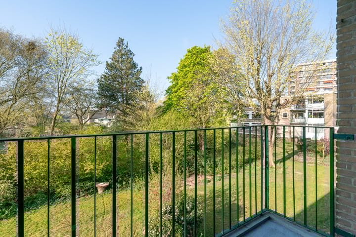 Foto 22 van Terborchlaan 133