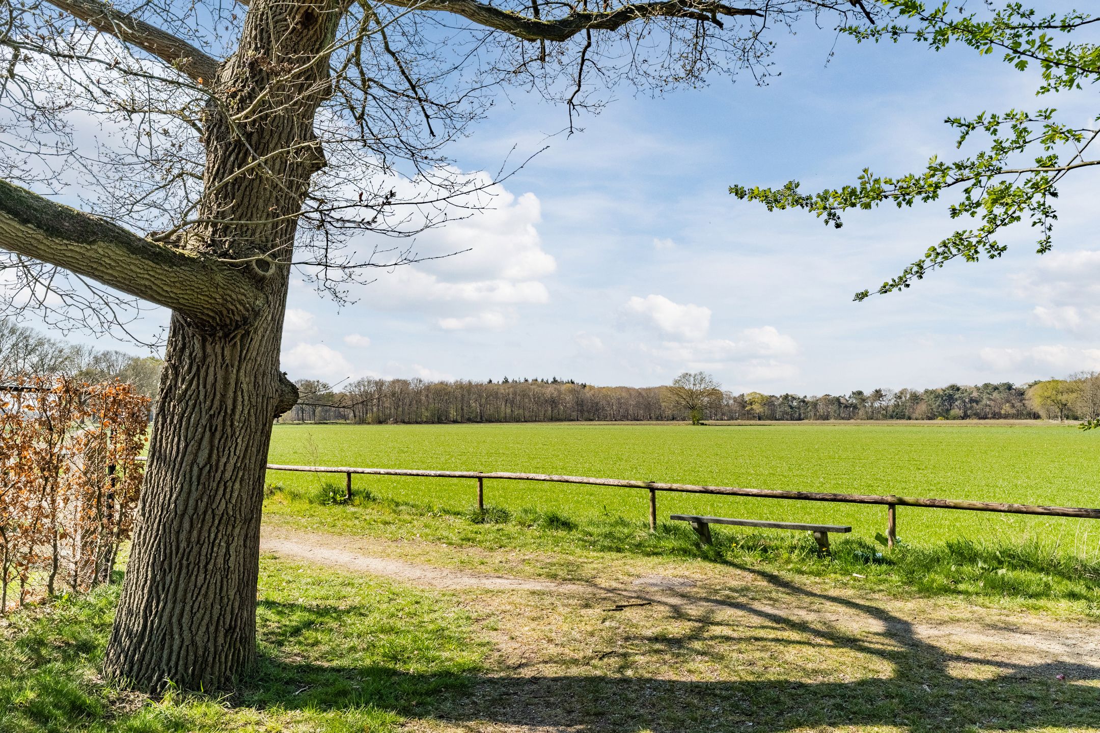 Foto 42 van Meuleneind 4