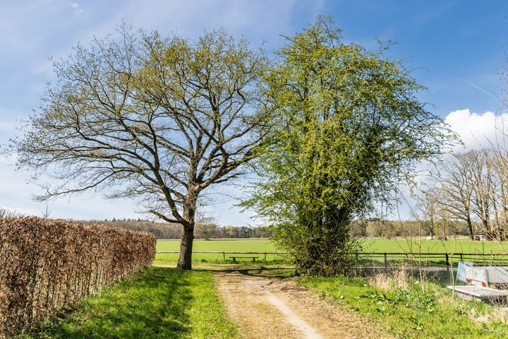 Photo 41 of Meuleneind 4