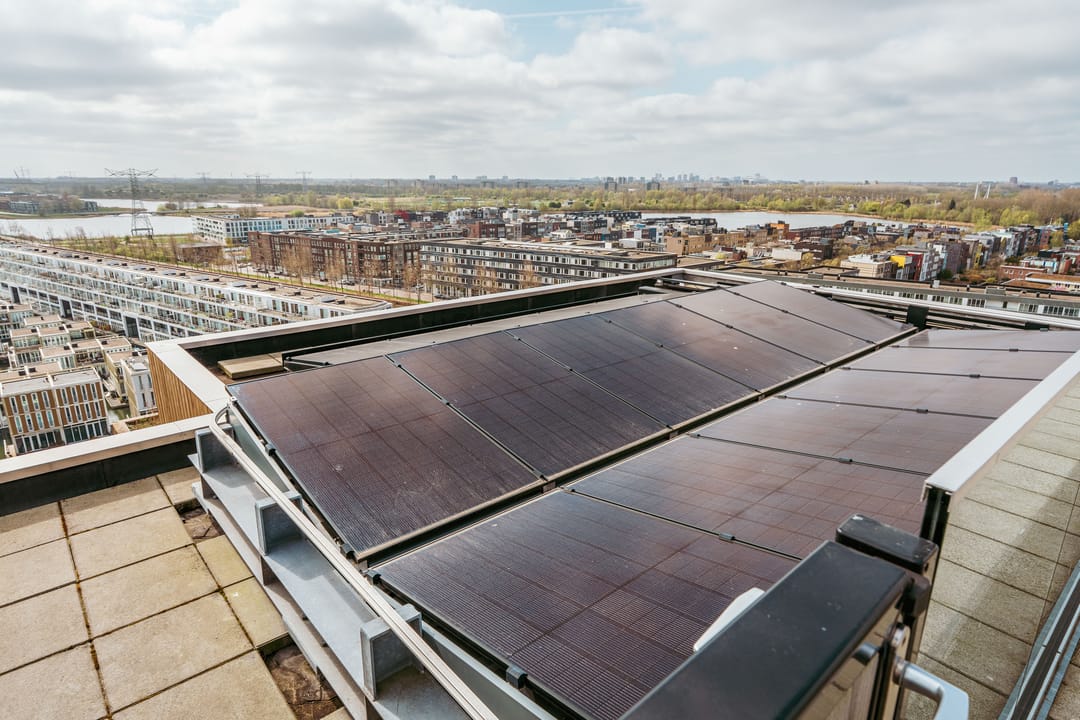 Foto 37 van Haringbuisdijk 505