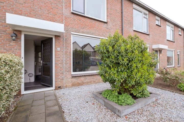 Foto 2 van Speenkruid 22