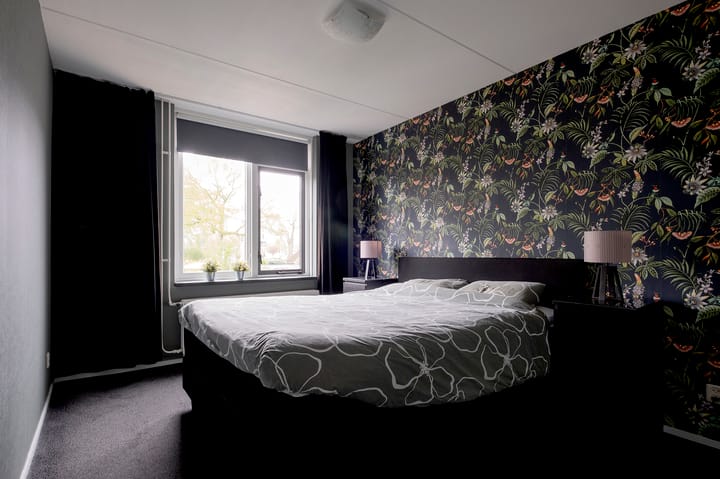 Foto 21 van Speenkruid 22