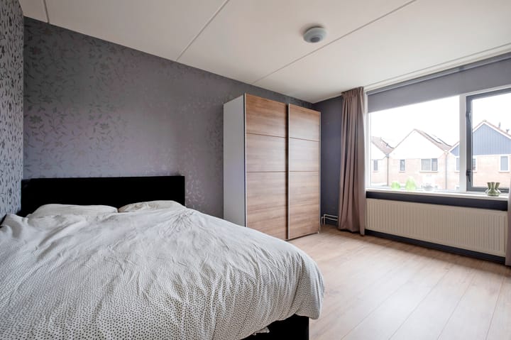 Foto 24 van Speenkruid 22