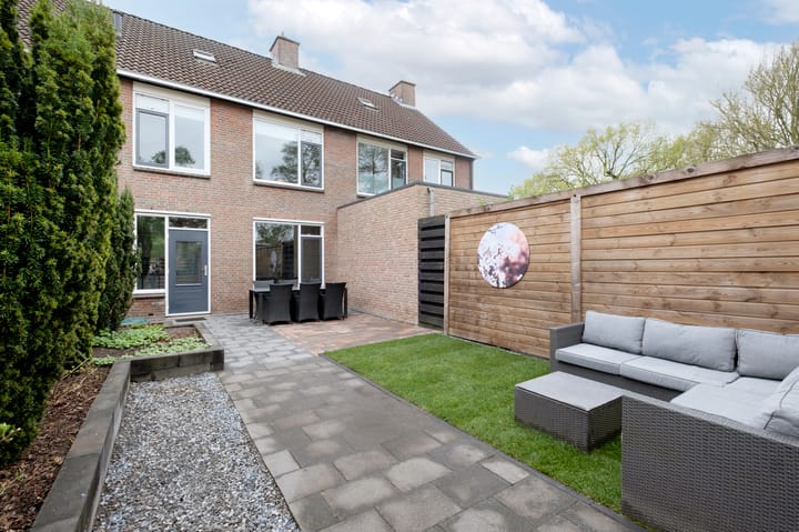 Foto 32 van Speenkruid 22