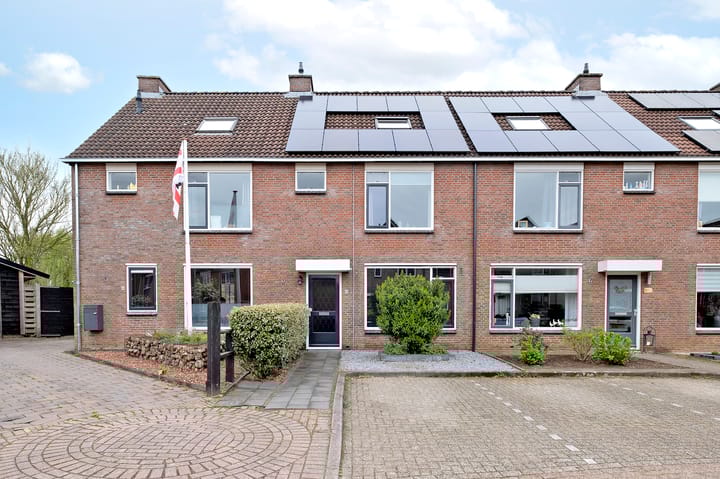 Foto 38 van Speenkruid 22