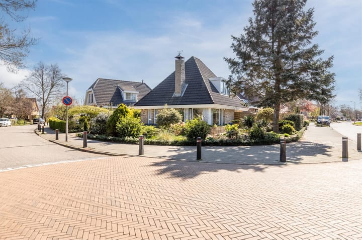 Foto 3 van Luilaantje 61