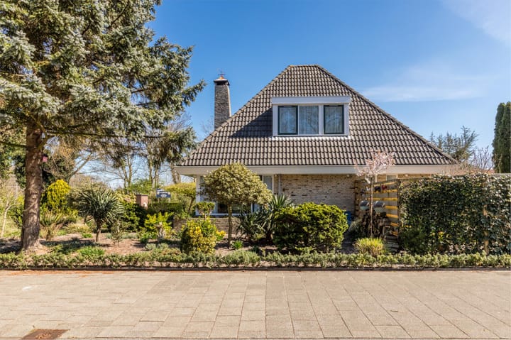 Foto 4 van Luilaantje 61