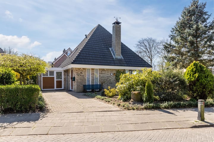 Foto 2 van Luilaantje 61