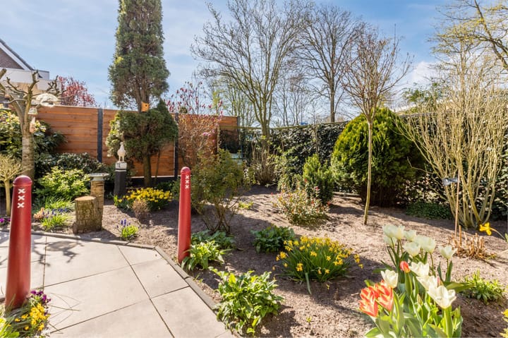 Foto 66 van Luilaantje 61