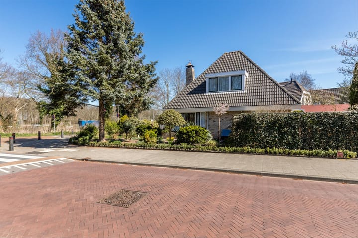 Foto 73 van Luilaantje 61