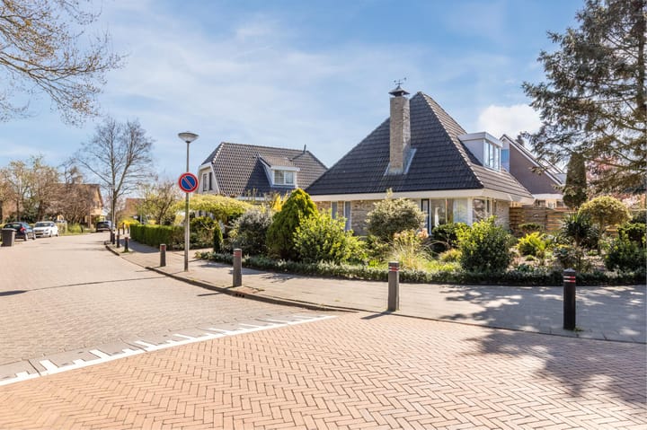 Foto 74 van Luilaantje 61