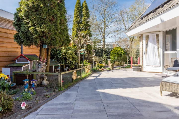 Foto 64 van Luilaantje 61