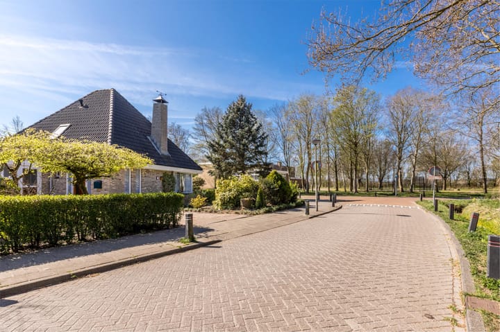 Foto 75 van Luilaantje 61