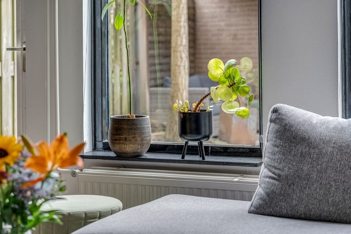 Foto 15 van 't Erf 23