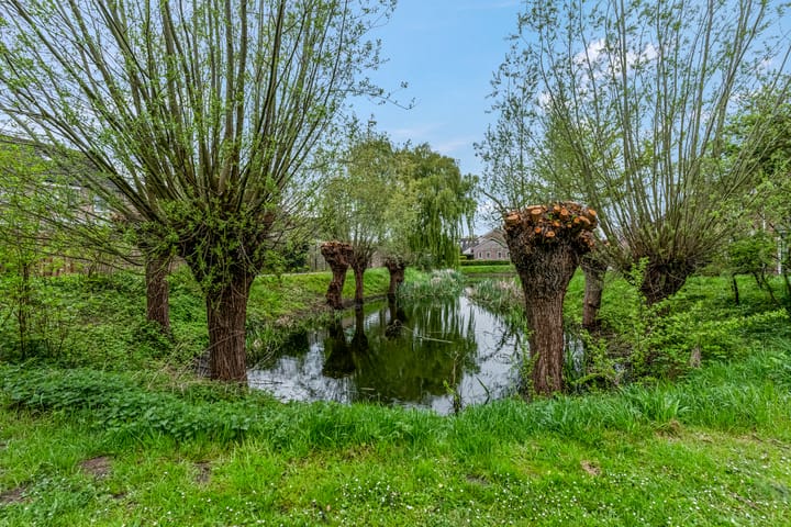 Foto 41 van 't Erf 23