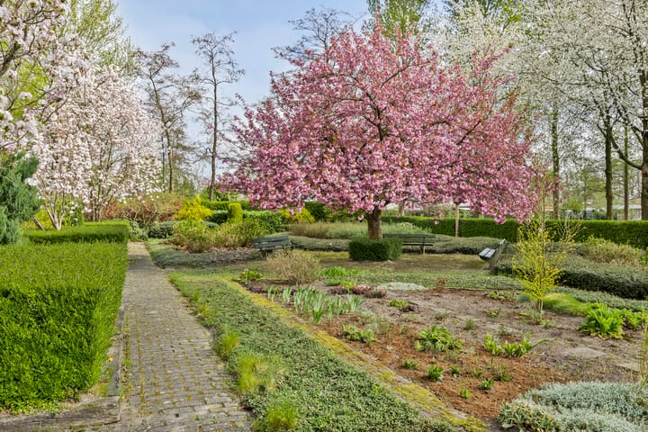 Foto 22 van Hobokenstraat 237