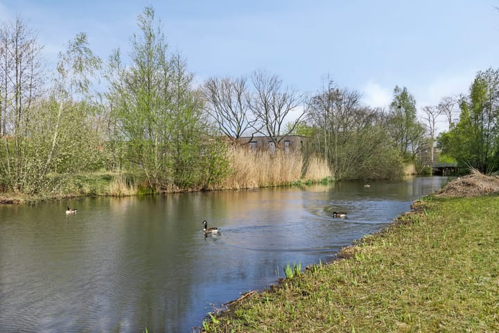 Foto 23 van Hobokenstraat 237