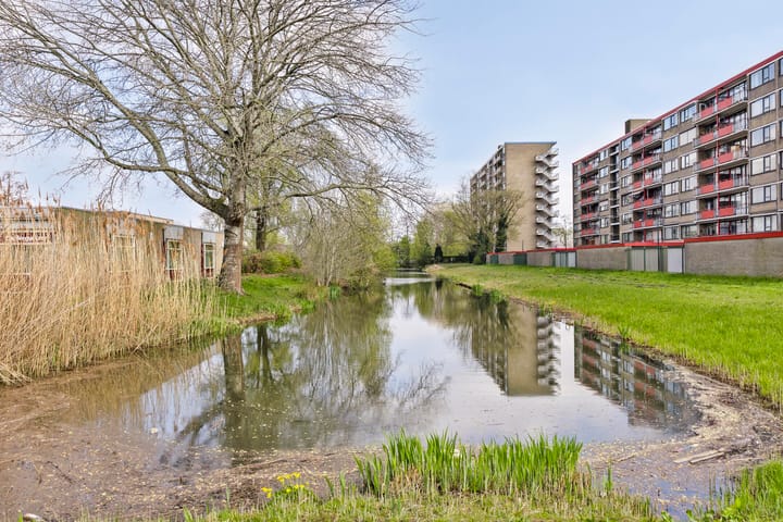 Foto 24 van Hobokenstraat 237