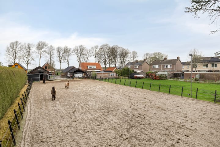 Foto 2 van Noorderdiep 203