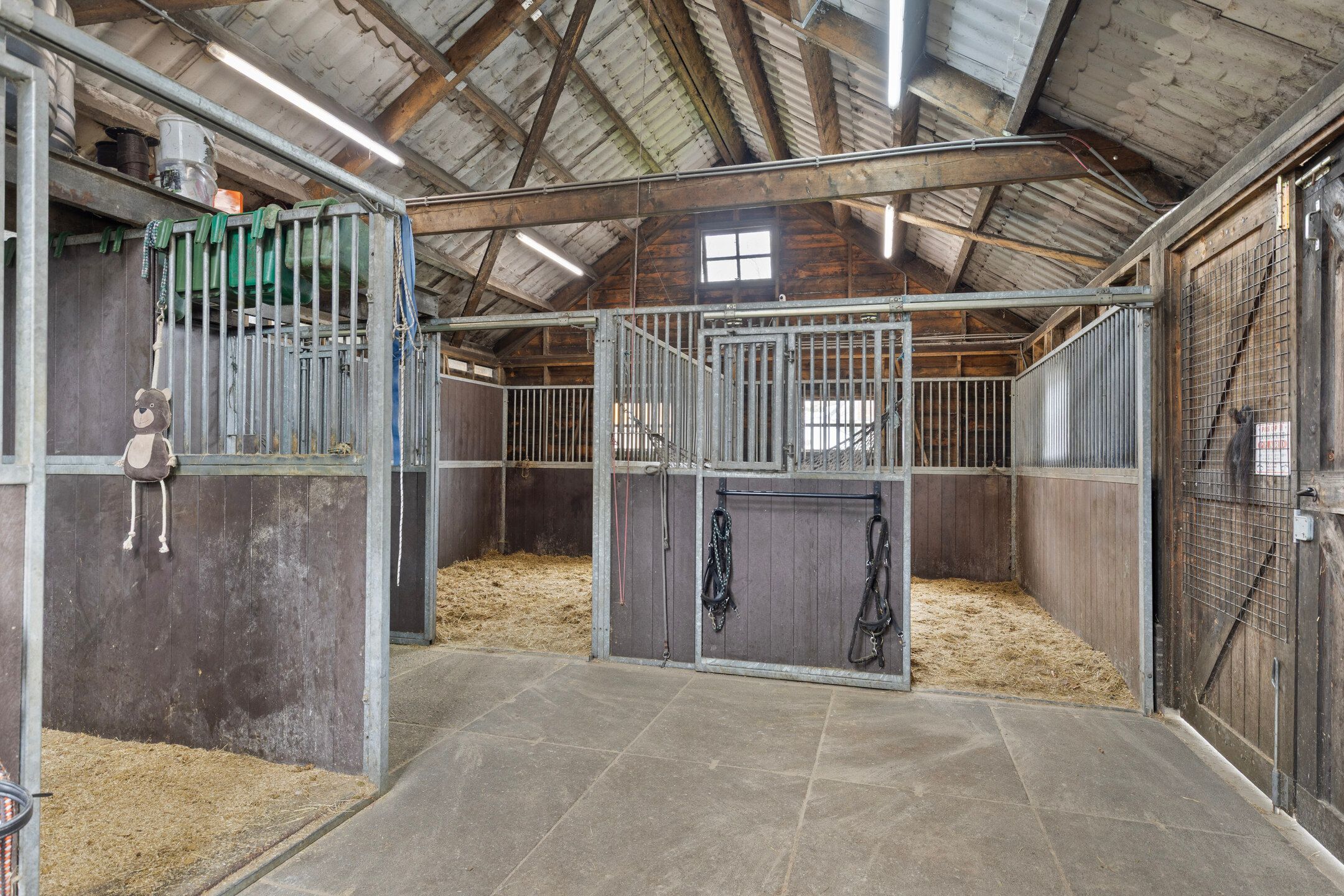 Foto 3 van Noorderdiep 203