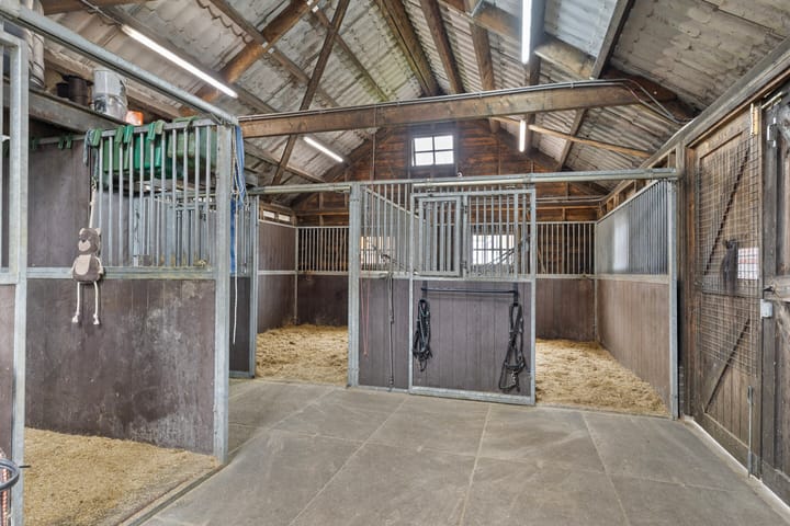 Foto 3 van Noorderdiep 203