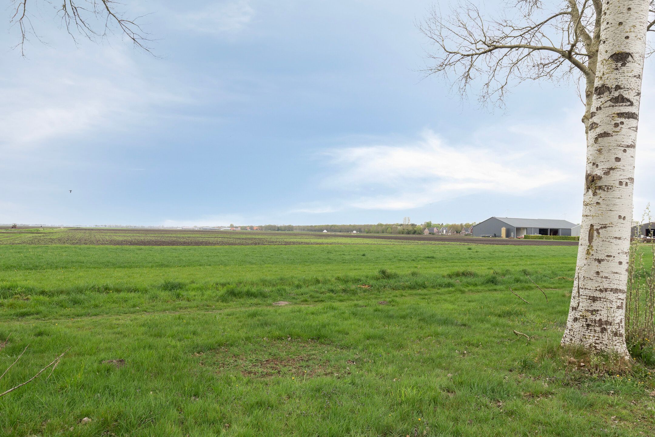 Foto 42 van Noorderdiep 203