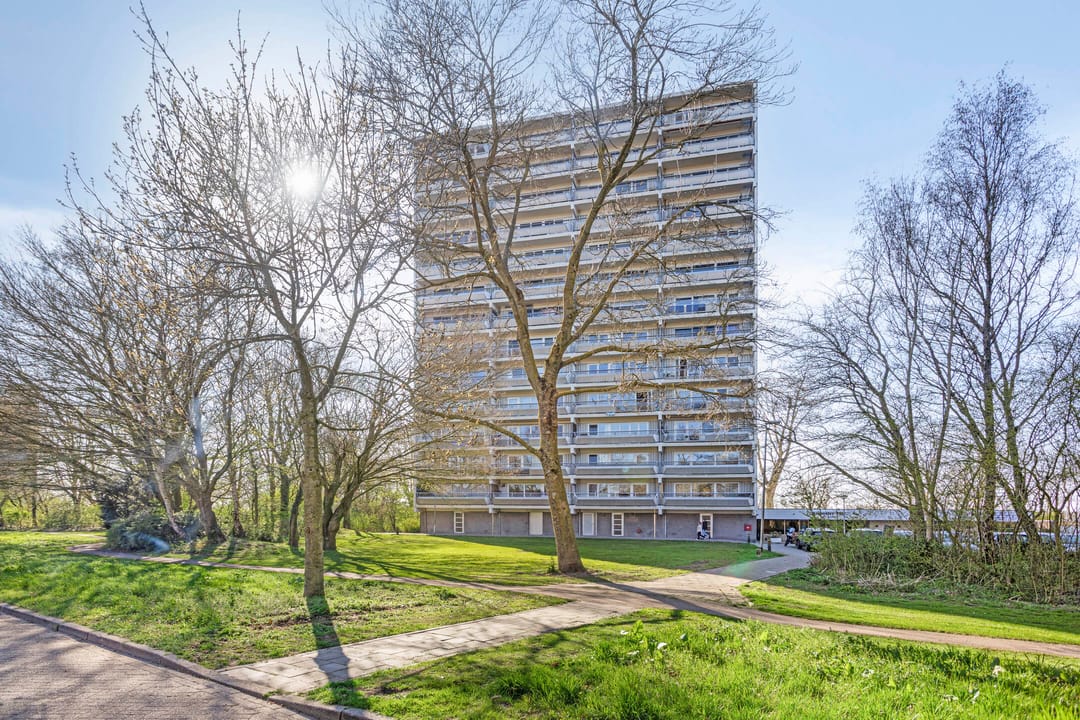 Foto 7 van Burgemeester D. Kooimanweg 1045