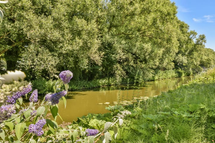 Foto 29 van Vlimmerenstraat 45