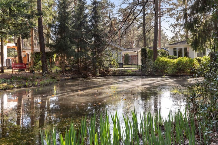 Foto 4 van Hoge Bergweg 16-147