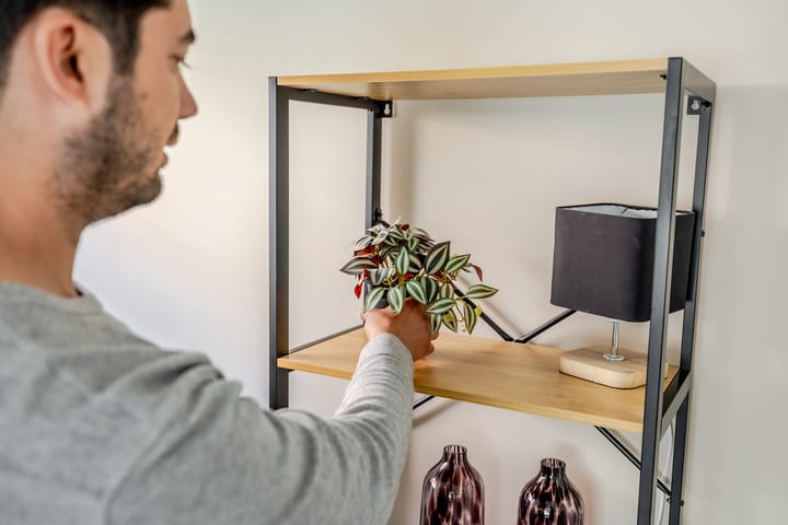 Foto 12 van Bunderstraat 79