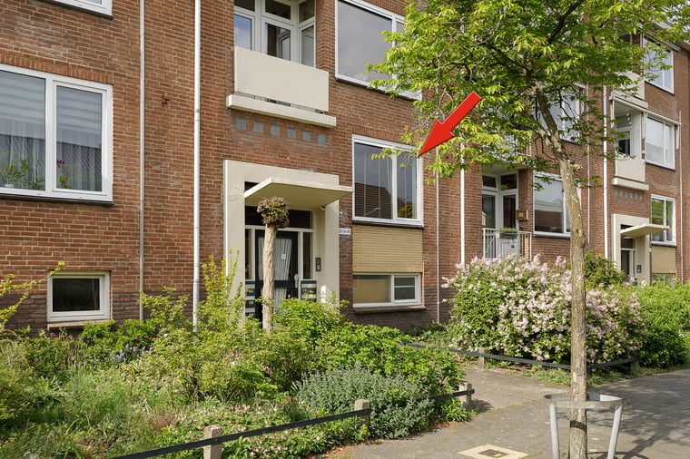 Dassenlaan 50 main image