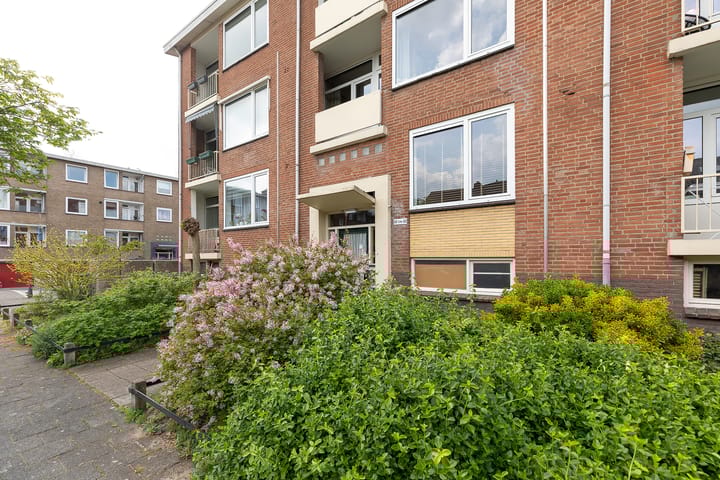 Foto 25 van Dassenlaan 50