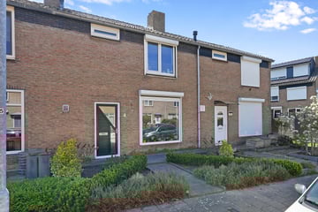 Pieter Duvelaer van Campenstraat thumbnail