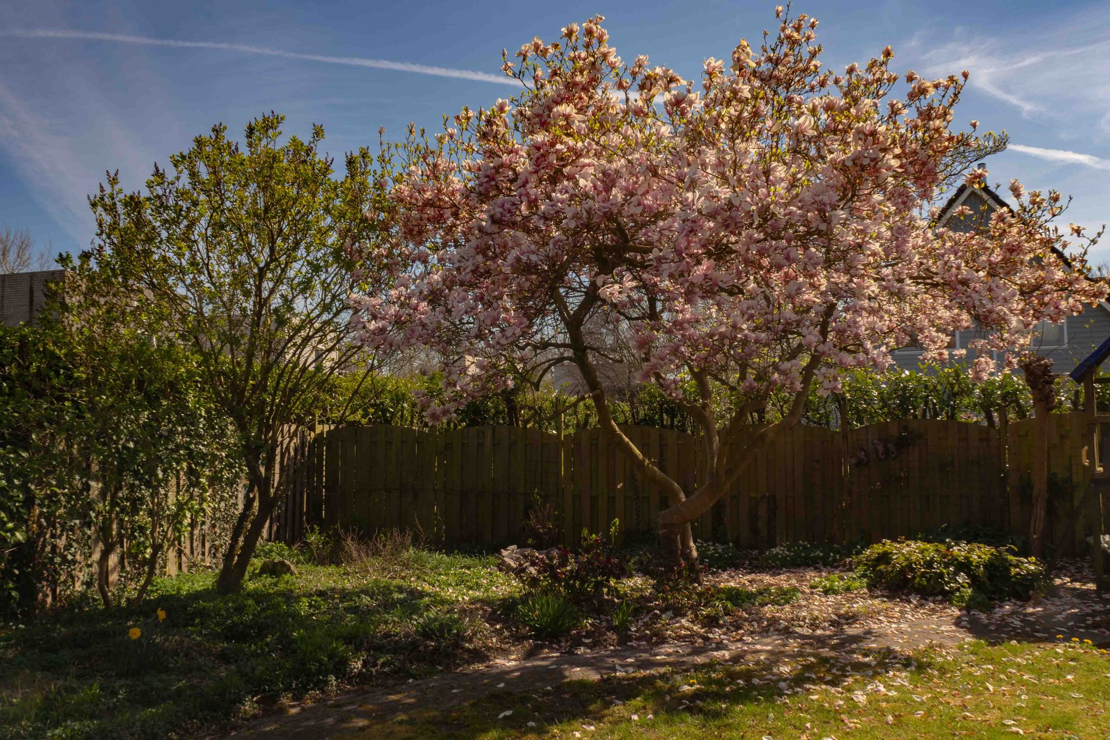 Foto 45 van Eikepage 16