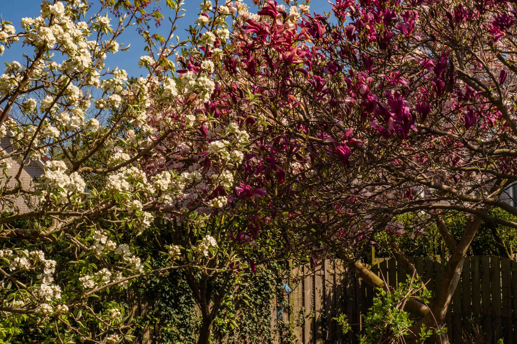 Foto 48 van Eikepage 16