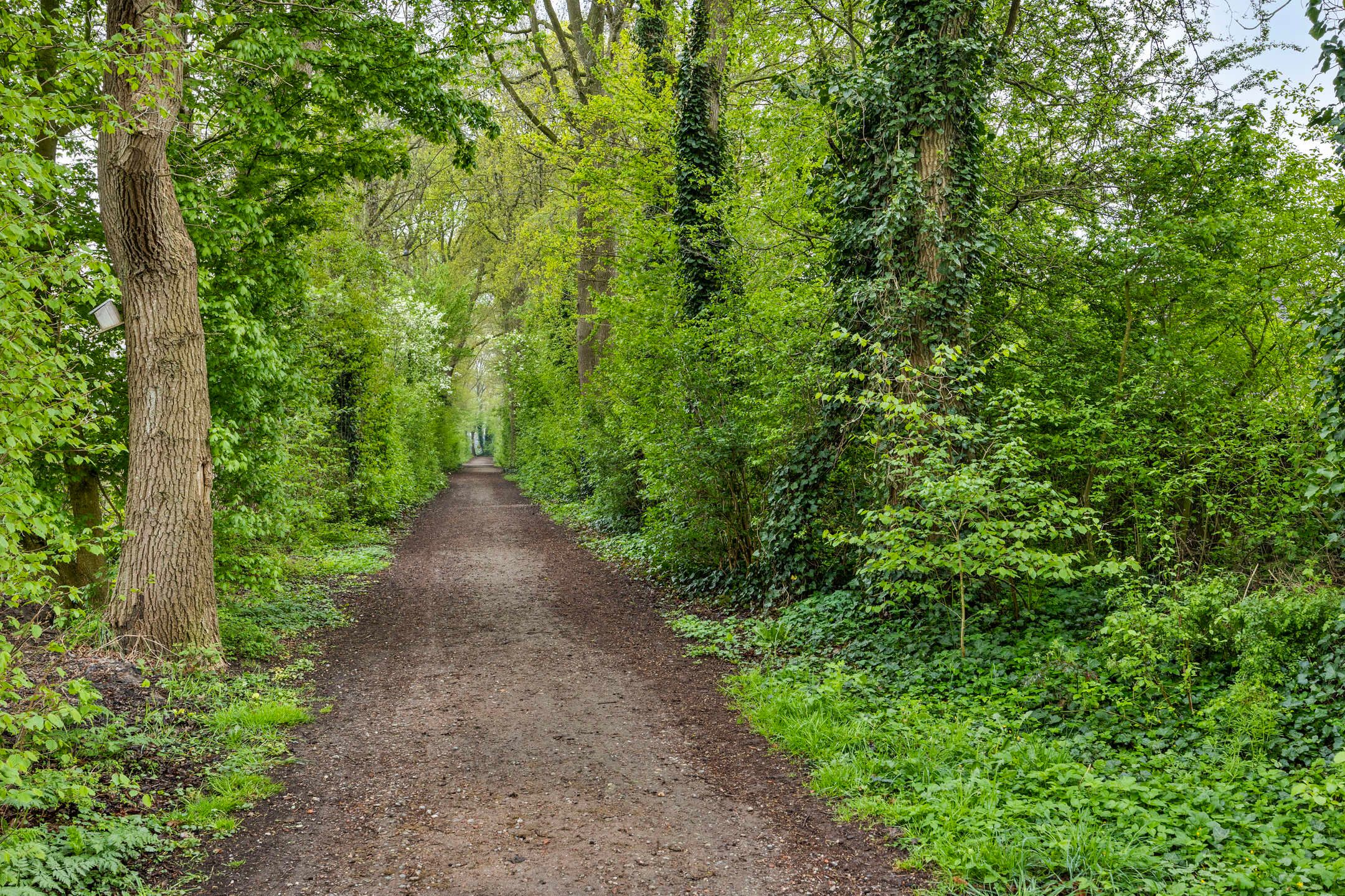 Foto 57 van Eikepage 16