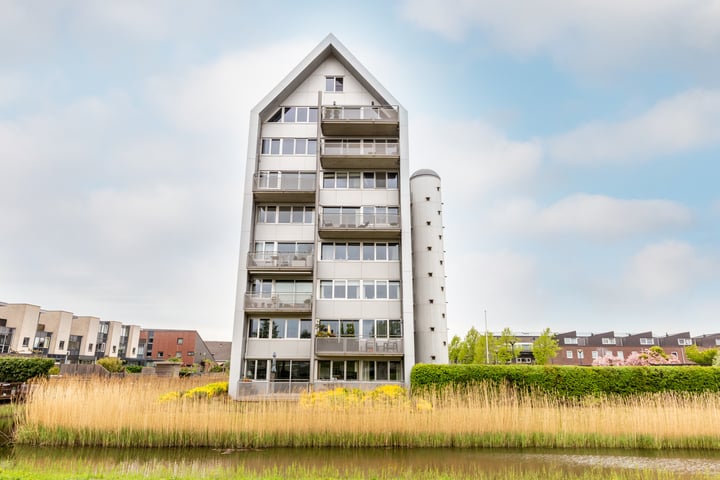 Foto 6 van Lauwers 22