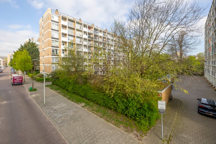 Louis Davidsstraat 209