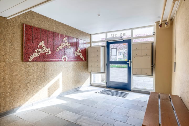 Foto 5 van Louis Davidsstraat 209