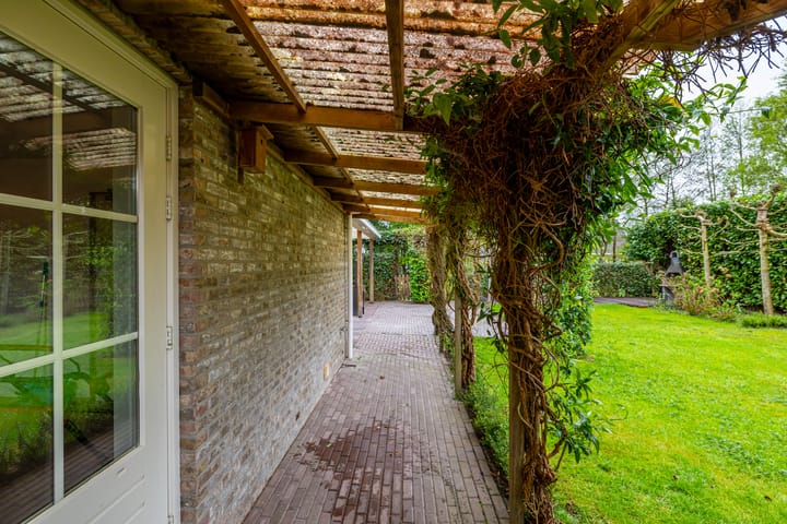 Foto 46 van Klaproos 44