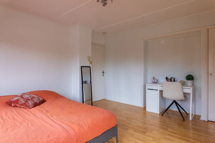 Foto 30 van Mr. P.J. Troelstrastraat 36-A