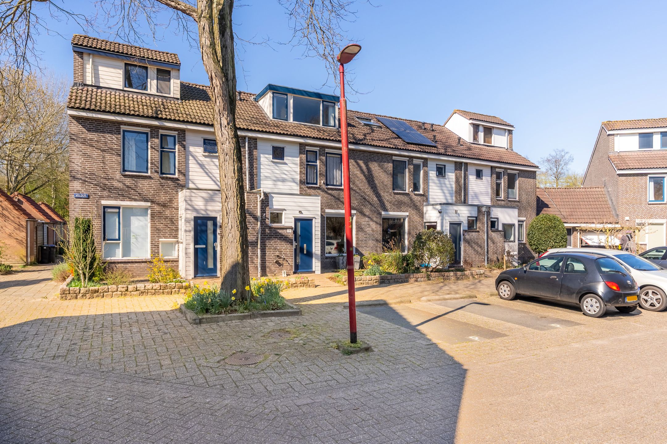 Foto 3 van Velduil 58