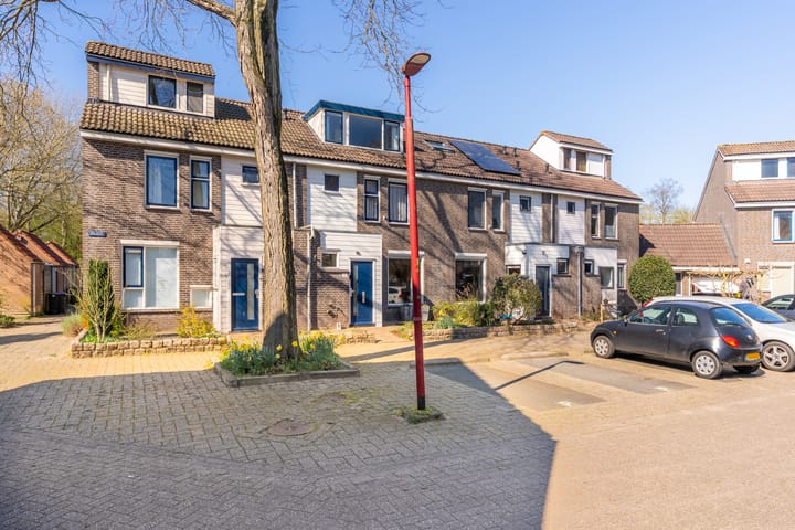 Foto 3 van Velduil 58