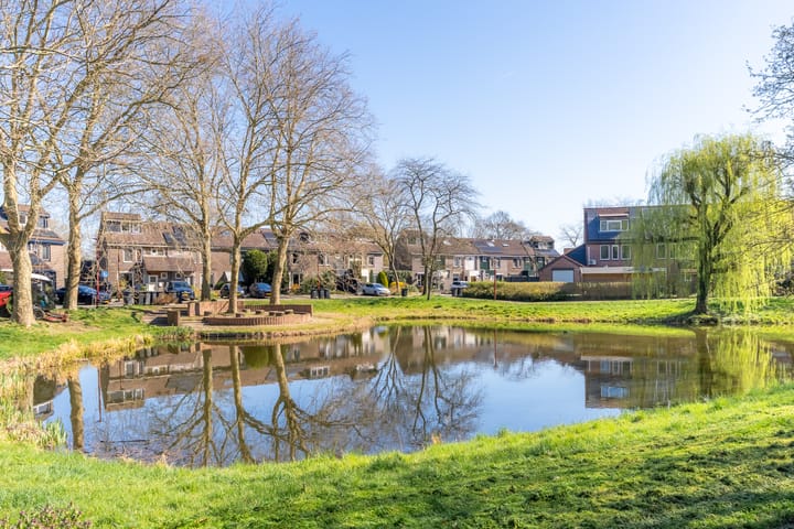 Foto 35 van Velduil 58