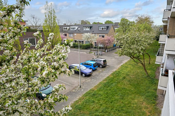 Foto 17 van Rozeveldlaan 58