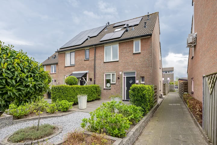 Foto 4 van Tureluur 29