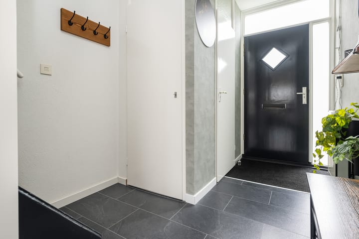 Foto 5 van Tureluur 29