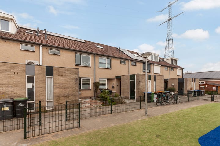 Foto 37 van Mattenbies 12